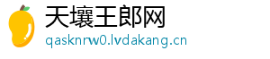 天壤王郎网